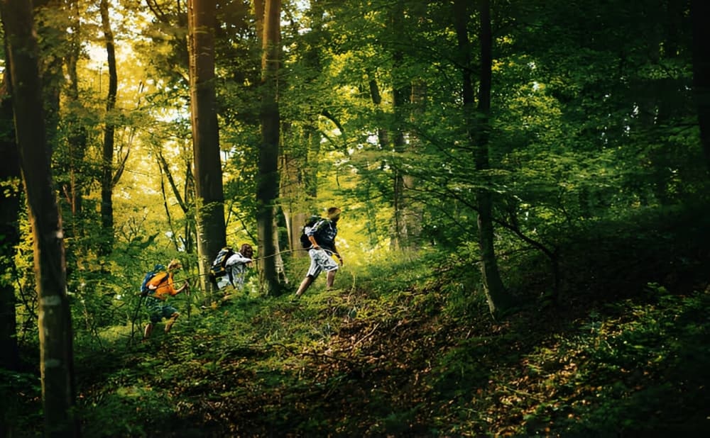 Nouveaux partenaires pour l'exploration forestière - Matériel pour Visite Guidée