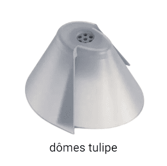 d&ocirc;mes tulipe