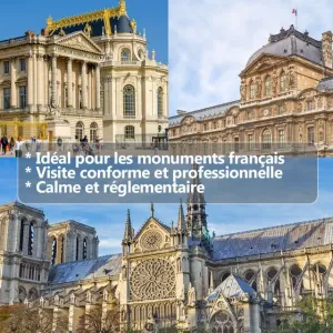 T130U T131U Système de Tour Groupal Digital Transmission UHF | Idéal pour la Tour Eiffel, le Louvre et les Musées de France